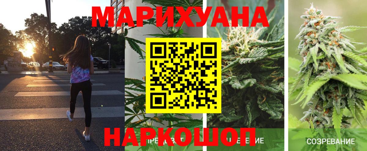 Конопля сатива  МАРИХУАНА марихуана  Ярославль  Вход с VPN  Каннабис OG Kush  Бошки марихуана THC 21% 